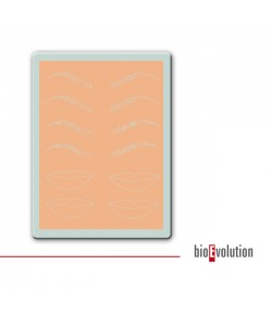 Umelá koža - predkreslená