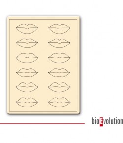 Umelá koža - predkreslená, pery